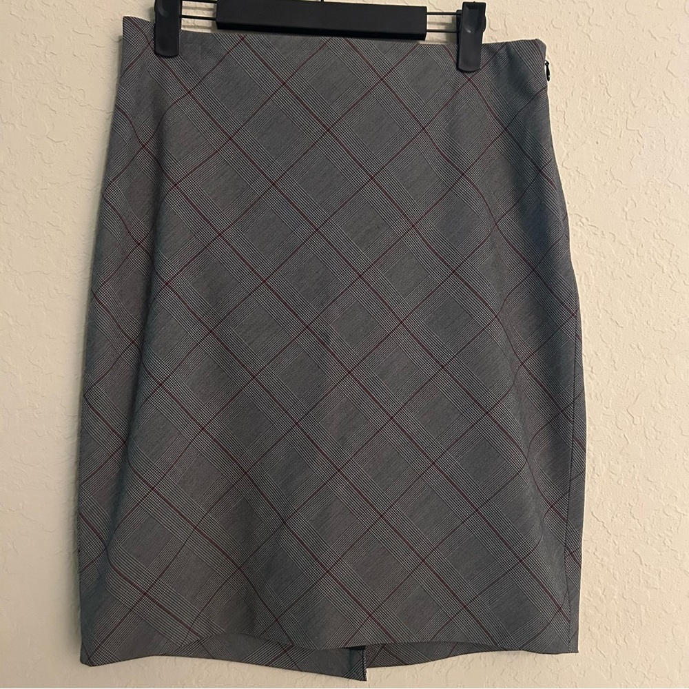 The Limited skirt